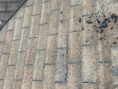 Residential Asphalt Shingle Replacement